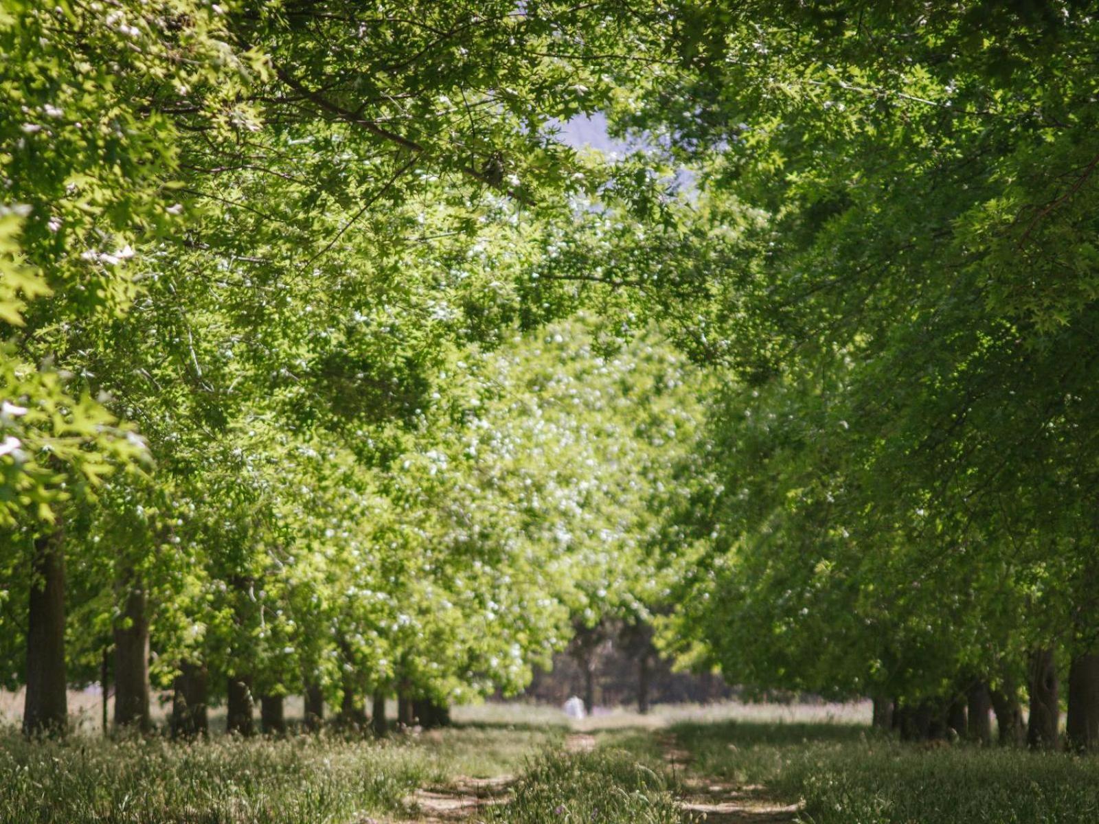 Duikersdrift Winelands Country Escape Hotell Tulbagh Exteriör bild