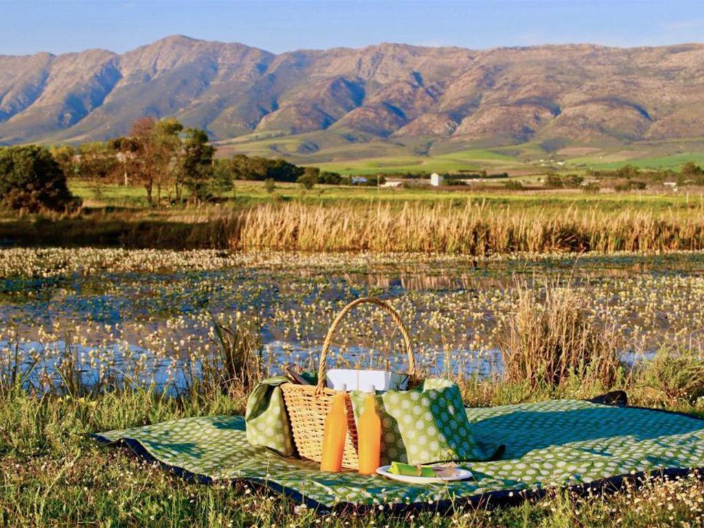 Duikersdrift Winelands Country Escape Hotell Tulbagh Exteriör bild