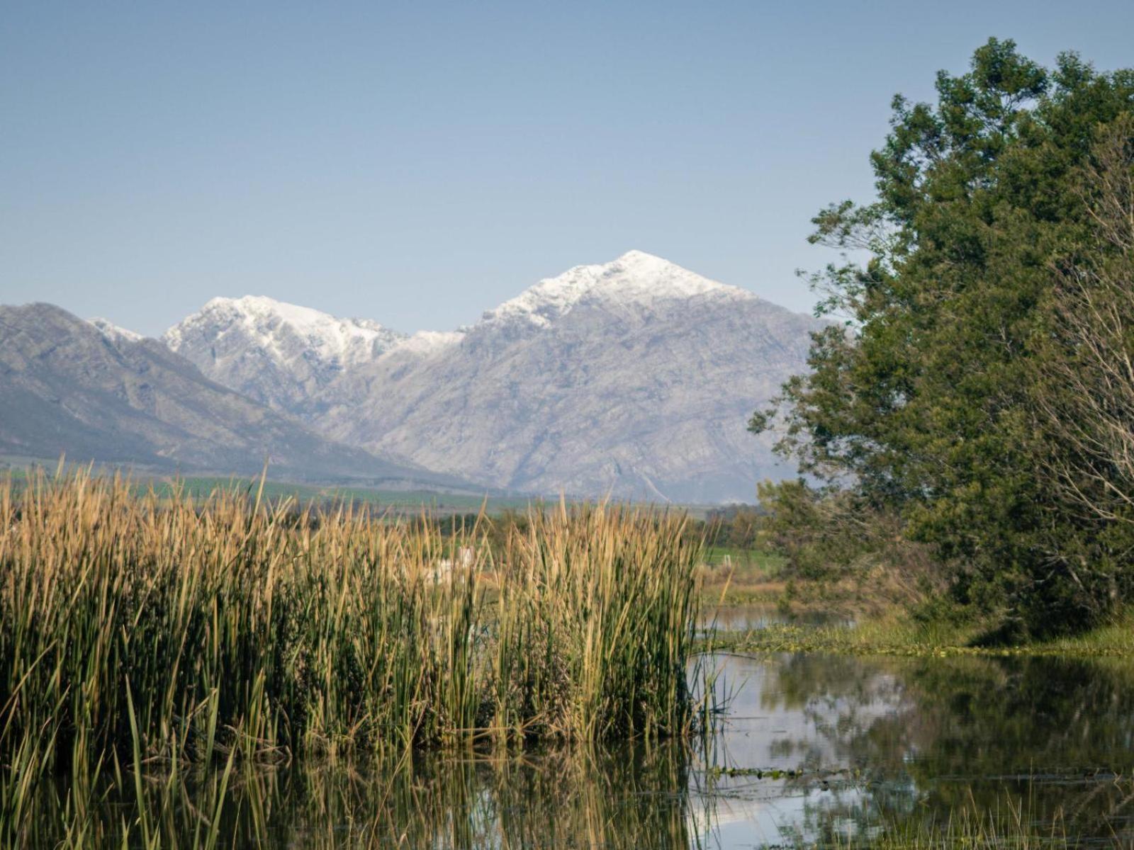 Duikersdrift Winelands Country Escape Hotell Tulbagh Exteriör bild
