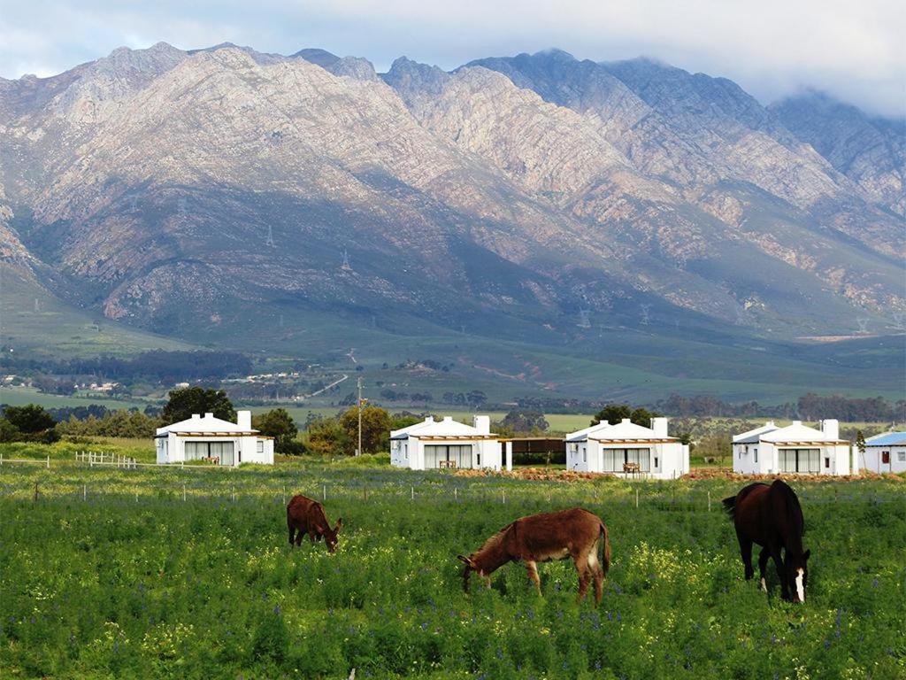 Duikersdrift Winelands Country Escape Hotell Tulbagh Exteriör bild